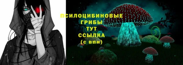 ECSTASY Абаза