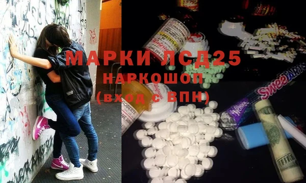 PSILOCYBIN Алзамай