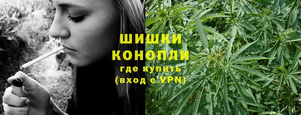 PSILOCYBIN Алзамай