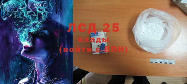 PSILOCYBIN Алзамай