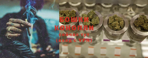 PSILOCYBIN Алзамай