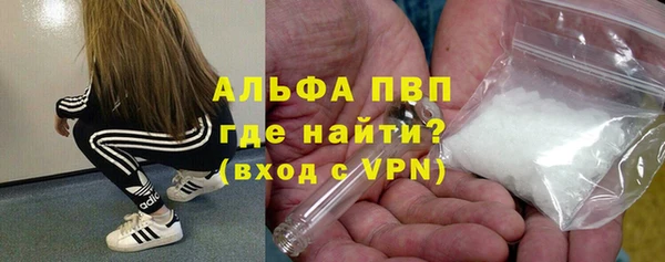 СК Алексин