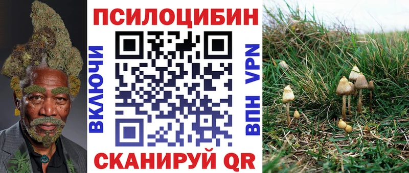 где продают наркотики  Зуевка  Галлюциногенные грибы прущие грибы 